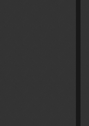 Monitor HP P204v 19.5" HD+ (1600x900 a 60Hz) TN LED, HDMI / VGA / Pantalla Antirreflejo.